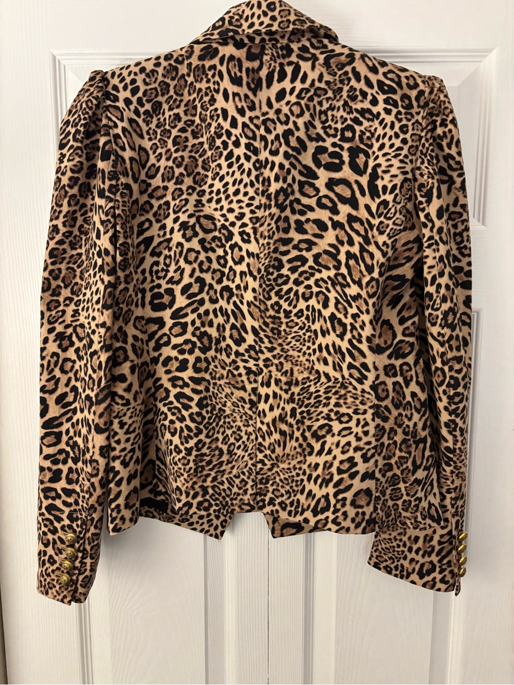 Generation Love Delilah Crepe Blazer in Leopard Print 🐆 - Picture 5 of 6